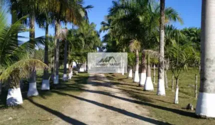 Sítio com 185.000 m², todo escriturado, pastagem formada, todo cercado, aceita permuta, em Pirabeiraba