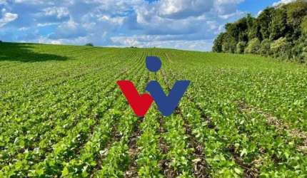 Chácara à venda, 23600 m  por R  649.000,00 - Barigui - Araucária PR