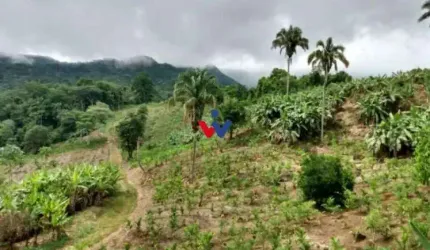 Rural à venda, centro, MORRETES - PR