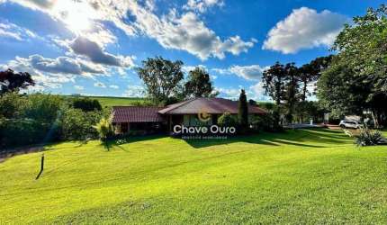 Chácara à venda, 36000 m² por R$ 3.000.000,00 - Alto Alegre - Toledo/PR