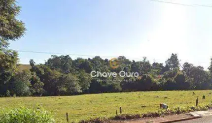 Terreno à venda, 5245 m² por R$ 1.678.000,00 - Jardim Coopagro - Toledo/PR