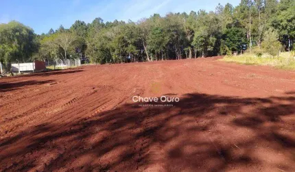 Terreno à venda, 6000 m² por R$ 1.100.000,00 - Boa Vista da Aparecida - Boa Vista da Aparecida/PR