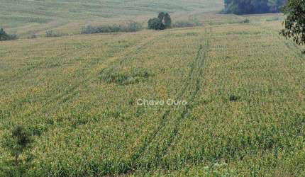 Área rural com 10 alqueires, ou 24.2 hectares com rio, pastagem e lavoura