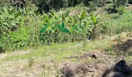 Terreno Rural para Venda em Nova Friburgo, Santiago