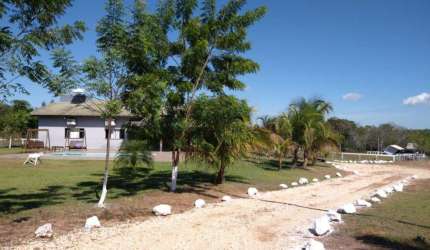 Sitio com 15 hectares com várias estruturas, 4 km da cidade de Nova Mutum MT