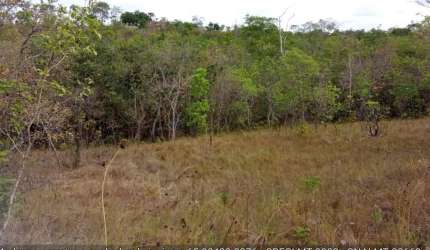 chácara de 2 hectares no loteamento colina verde