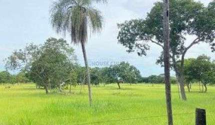 LINDO SITIO A VENDA 50 HEC BEIRA RIO CUIABA