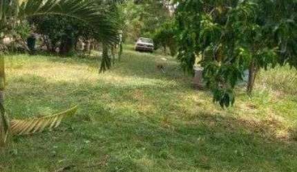 Chácara / sítio com 3 quartos à venda na Área Rural, 5775, Área Rural de Várzea Grande, Várzea Grande, 600 m2 por R$ 250.000