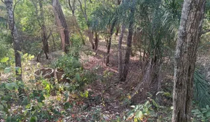 03 lotes juntos no loteamento Batec no coxipó do ouro a 22 km da fundação Brades