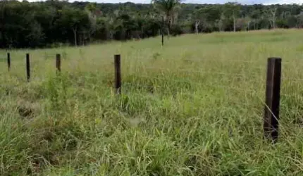 Vendo Excelente Fazenda na Divisa MT/RO Porteira Fechada