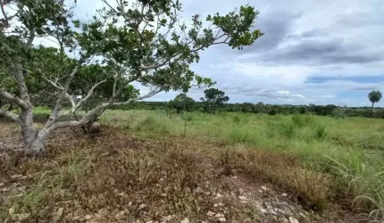 Oportunidade Chácara Rosário Oeste