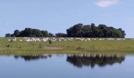 Excelente Fazenda MUNICIPIO DE CRIXAS GOIAS