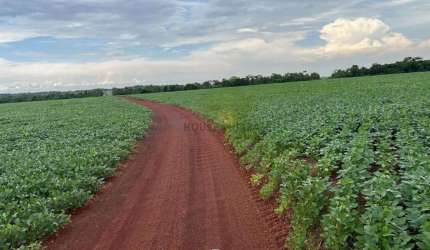 Oportunidade de Negócio Fazenda no Município de santa Maria-TO