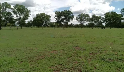 Fazenda dupla aptidão com 243 hectares na região da terra vermelha 4 km do distr