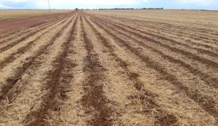 FAZENDA A VENDA  LOCALIZADA EM AGUA BOA-MT