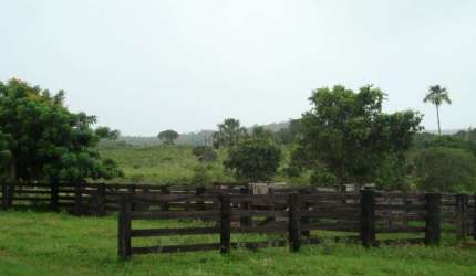 Fazenda à venda na Zona Rural, 1, Zona Rural, Primavera do Leste, 3280000 m2 por R$ 7.000.000