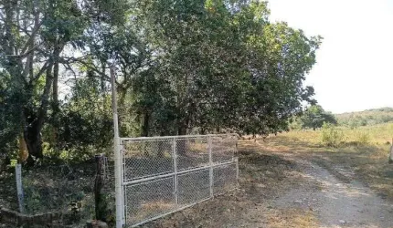 Vendo  Chácara Nossa Senhora da Guia