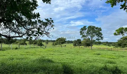 sitio com 16 hectares, sendo 12 todo formado na regão do 120, escriturados  com