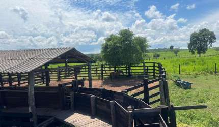 Fazenda de 1.200 hectares sentido Cáceres MT.
