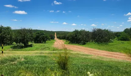 Fazenda de plantação de laranja na região de São Paulo Brasil.