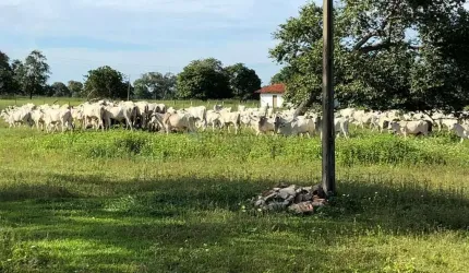 fazenda na região de Aruanã no estado de Goiás