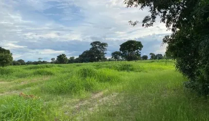 fazenda de 575 alqueires somente 12 km da cidade de Novo Mundo no estado de Goiá