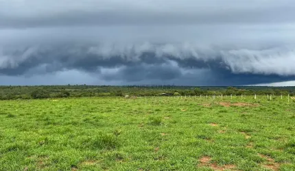 fazenda de 150 hectares toda escriturada e em dia, na beira do lago do manso