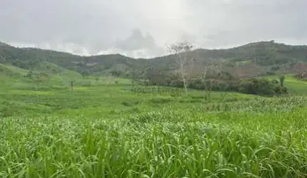 área de terra de 247 alqueires com excelente localização na região da cidade de