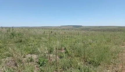 Área de terra de 1.132 hectares no Município de Cristalina