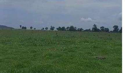 fazenda de 110 alqueres, no município de Jussara no estado de Goiás