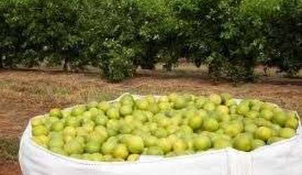 área total de 357,0247 Alqueires, (856,85928 hectares) localizada no estado de S
