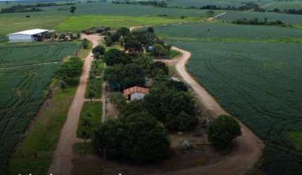 fazenda de grãos e pecuária na região de Araguaína TO. Fazenda com 5.300 hectare