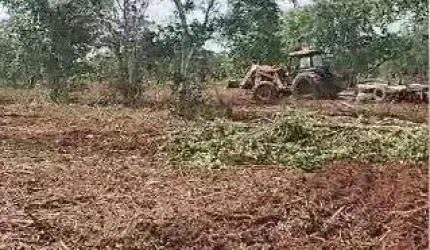 fazenda de 126 alqueires (302,4 Hectares) para dupla aptidão