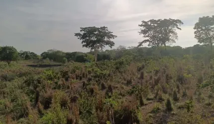 Sitio de 44 hectares 35 km de Cuiabá MT, na região da vila do Aguaçú no distrito