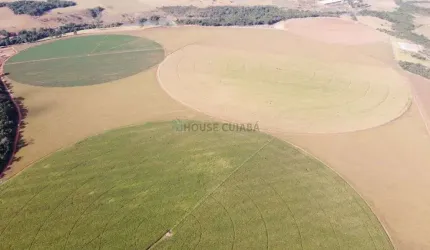 fazenda na proximidade da cidade de Vianópolis no estado de Goiás