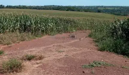 Fazenda de 320 hectares no município da cidade de Juscimeira no estado do Mato g