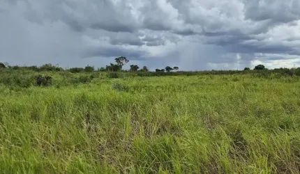Área de terra de 3.456,03 hectares no pantanal Sul Mato-grossense.