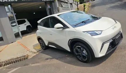 Dolphin mini 4lug 2025 0km