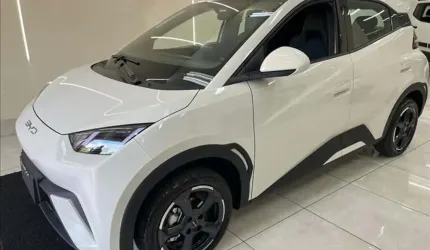 Byd dolphin mini 38 kw - 2024/2025