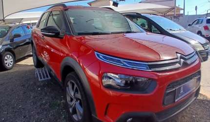 C4 cactus 