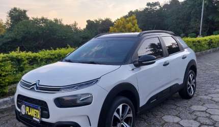 C4 cactus f eel