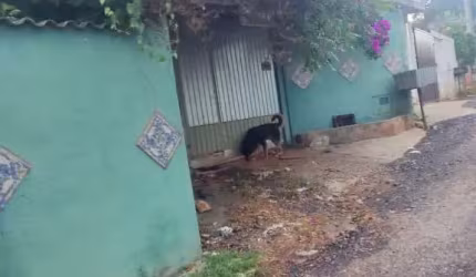 ÓTIMA CHÁCARA EM ARUJÁ