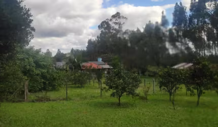 Chácara - Bairro Rincão do Cascalho - Portão