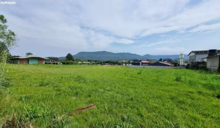 Área Comercial - Bairro Campo da Brazina - Araricá