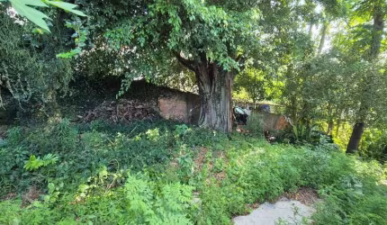 Terreno à venda no bairro Agronômica - Florianópolis/SC