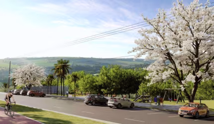 Lote Belvedere Laranjeiras