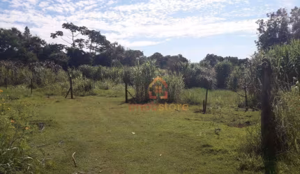 Gleba Jacutinga - Chácara à Venda