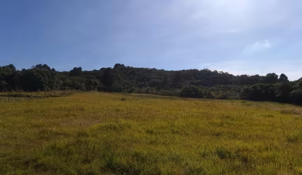 Chácara, 34.570 m², à venda por R$ 490.000 Contenda - São José dos Pinhais/PR