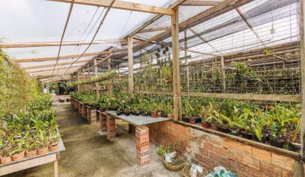 Terreno à venda, 6000 m² por R$ 450.000,00 - Área Rural de São José dos Pinhais - São José dos Pinhais/PR
