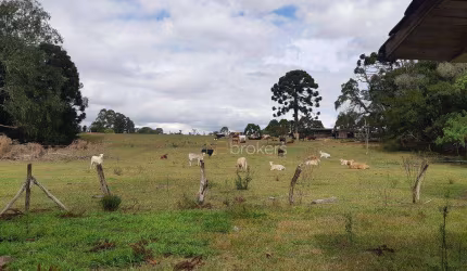 Chácara à venda, 43000 m² por R$ 990.000,00 - São Sebastião - Araucária/PR